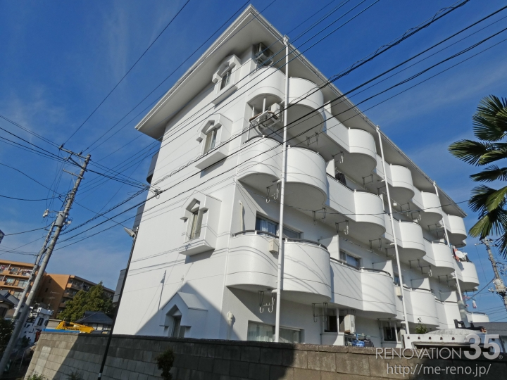 白とグレーでスタイリッシュに、1R X 13戸の空室対策リノベーション埼玉県入間市、AFTER3